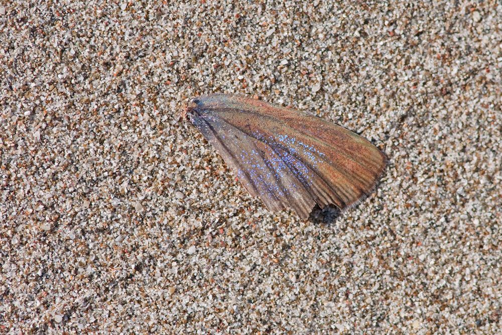 Karadere